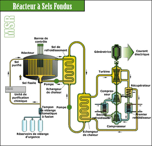 Réacteur-à-sels-fondus